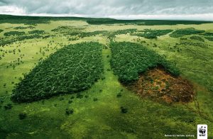Campagne publicitaire choc, sensibilisation publique