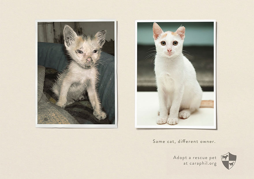 Campagne publicitaire choc, sensibilisation publique