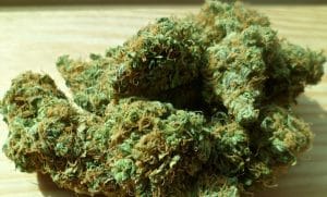 Cannabis: le Colorado perçoit trop d’impôts et ne sait pas quoi en faire L'économie du cannabis dans le Colorado