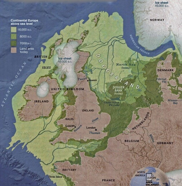 Forêt sous-marine, Mer du Nord