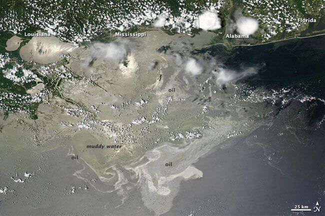 Marée noire, BP, Golfe du Mexique