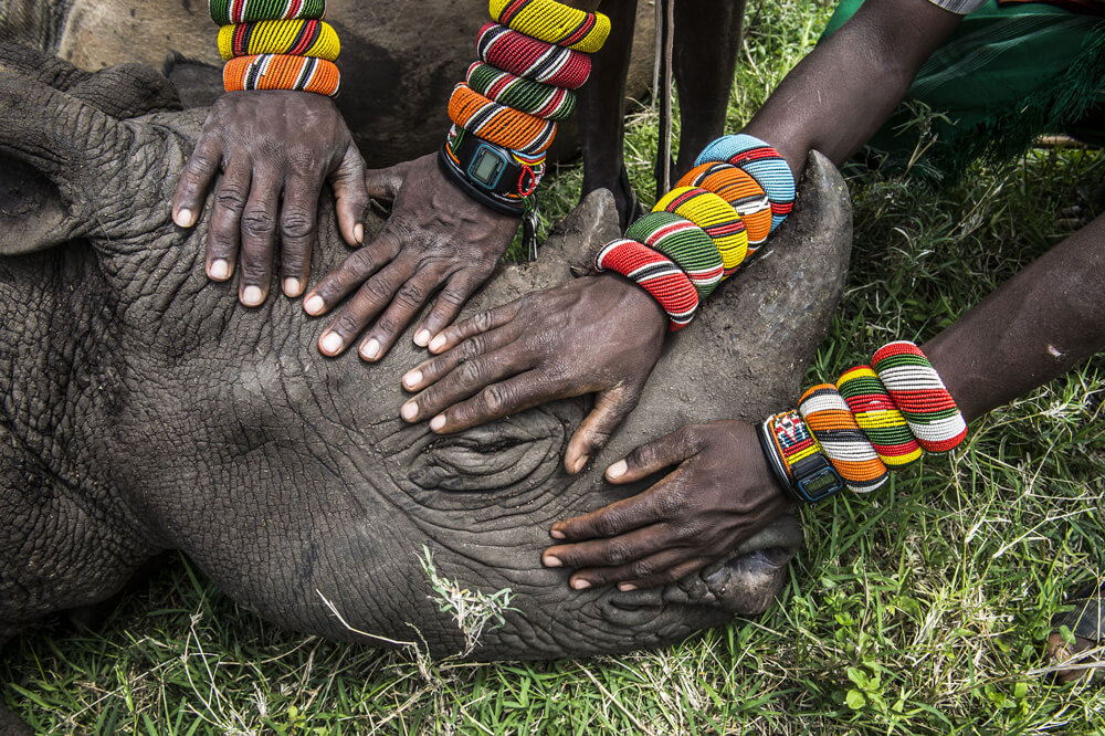 World Press Photo 2015, Palmarès