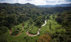 La légendaire « cité blanche » découverte enfouie en forêt tropicale au Honduras Cité perdue du Dieu Singe, Cité Blanche, Honduras