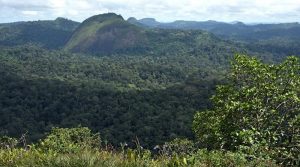 Une expédition dans la jungle en quête de nouvelles espèces La Planete Revisitée, expédition en Guyane