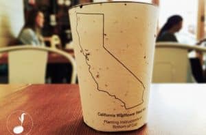 La première tasse à café jetable qui permet de planter un arbre
