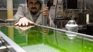 Le bitume de nos routes bientôt fabriqué à partir d’algues ? Bio-bitume, route micro-algue