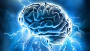 Cerveau, aveugle, rats