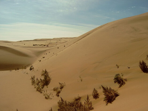 Désert de Gobi, Chine, déforestation