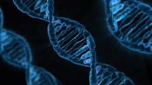 Des scientifiques chinois ont modifié génétiquement le premier embryon humain Modification ADN, embryons humains, scientifiques chinois