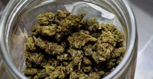 Bannalisation du cannabis en France, dépénalisation