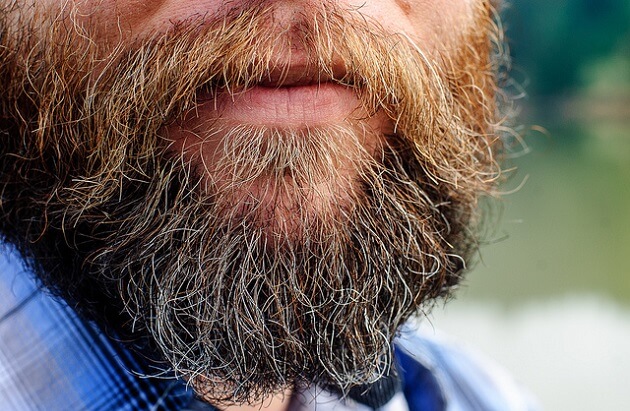 Barbe homme, hipster, sales, toilettes, bactéries