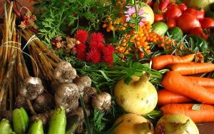 La France oblige les grandes surfaces à donner les invendus aux associations Déchets alimentaires, supermarchés