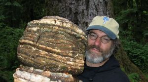 Monsanto tremble après la découverte d’un champignon tueur d’insectes Paul Stamets, mycologue, champignon pesticide naturel