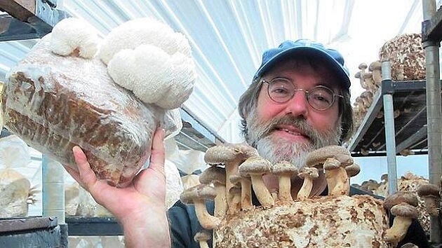 Paul Stamets, mycologue, champignon pesticide naturel