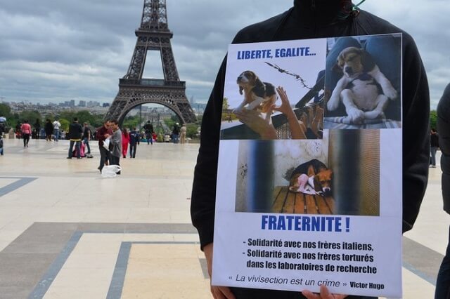 Rassemblement contre la vivisection, Paris 2012