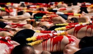 La corrida rayée de la liste du patrimoine culturel immatériel français anti-corrida, liste patrimoine culturel