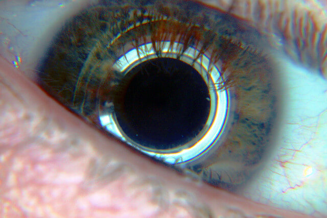 Cyborg, humain, science