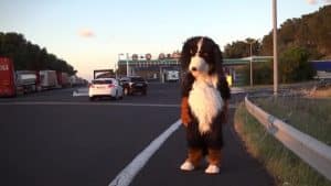 Des féministes imitent Remi Gaillard, qu’en pensez-vous? remi-gaillard-dog