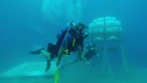 Le jardin de Némo: il fait pousser des fraises au fond de la mer Jardin de Némo, fermes sous-marines, biosphères