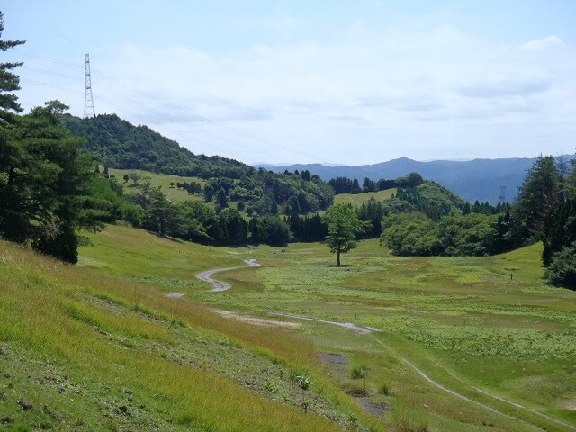 Kyocera, terrains de golfs abandonnés, centrales solaires
