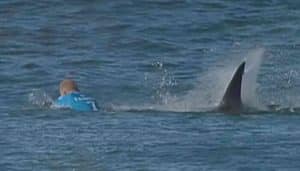 Mick Fanning, J Bay Open, attaque requin