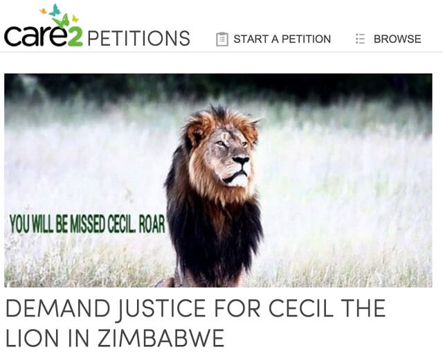 pétition cecil lion