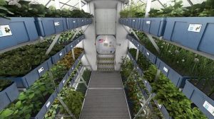 Les astronautes vont manger les premiers aliments cultivés dans l’espace culture, récolte, NASA