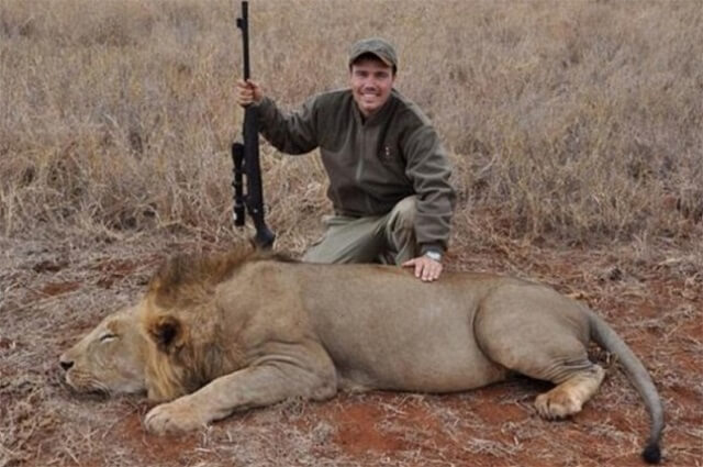 enfant, lion, mort, safari