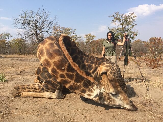 Sabrina Corgatelli, chasseuse de girafe, tueuse