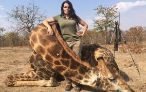 Une chasseuse américaine tue une girafe « dangereuse » en Afrique et se justifie Sabrina Corgatelli, chasseuse de girafe, tueuse