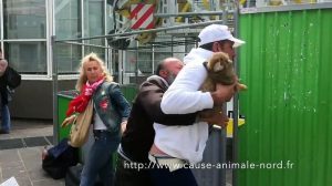 La vidéo d’un chiot arraché à un SDF indigne le Web chiot volé, sdf, Anthony Blanchard
