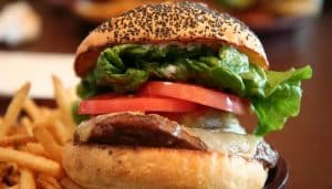 Des matières fécales retrouvées dans la quasi-totalité des hamburgers hamburgers, matières fécales