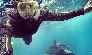 Cette année, les selfies ont tué plus que les requins selfie, mort, requins