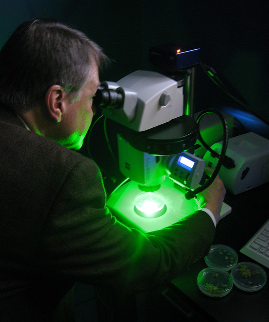 Métiers dangereux: techniciens en histologie