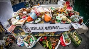Gaspillage alimentaire: rachetez les invendus perissables à petits prix grâce à Too Good To Go
