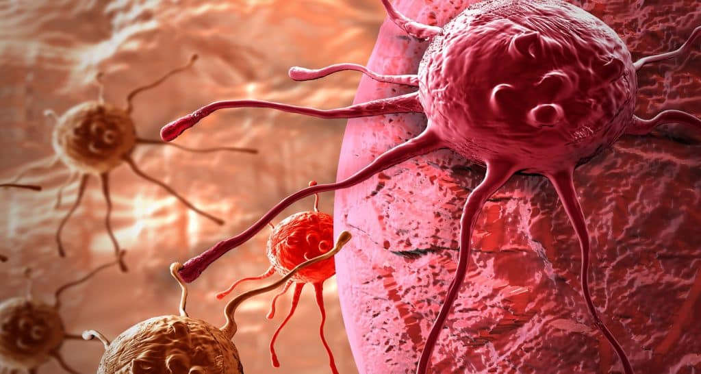 Cancer : un vaccin parvient à éradiquer toutes les tumeurs chez les souris