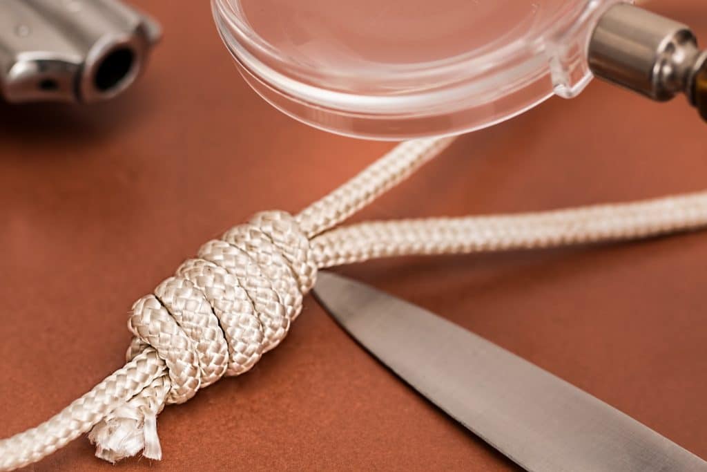 Toulouse : une adolescente assassinée et un suspect mis en examen