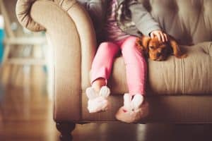 Huit mois de prison ferme pour avoir massacré un chiot à la hache