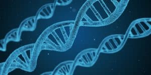 Comment l’identification par l’ADN a permis d’attraper un meurtrier pour la première fois ?