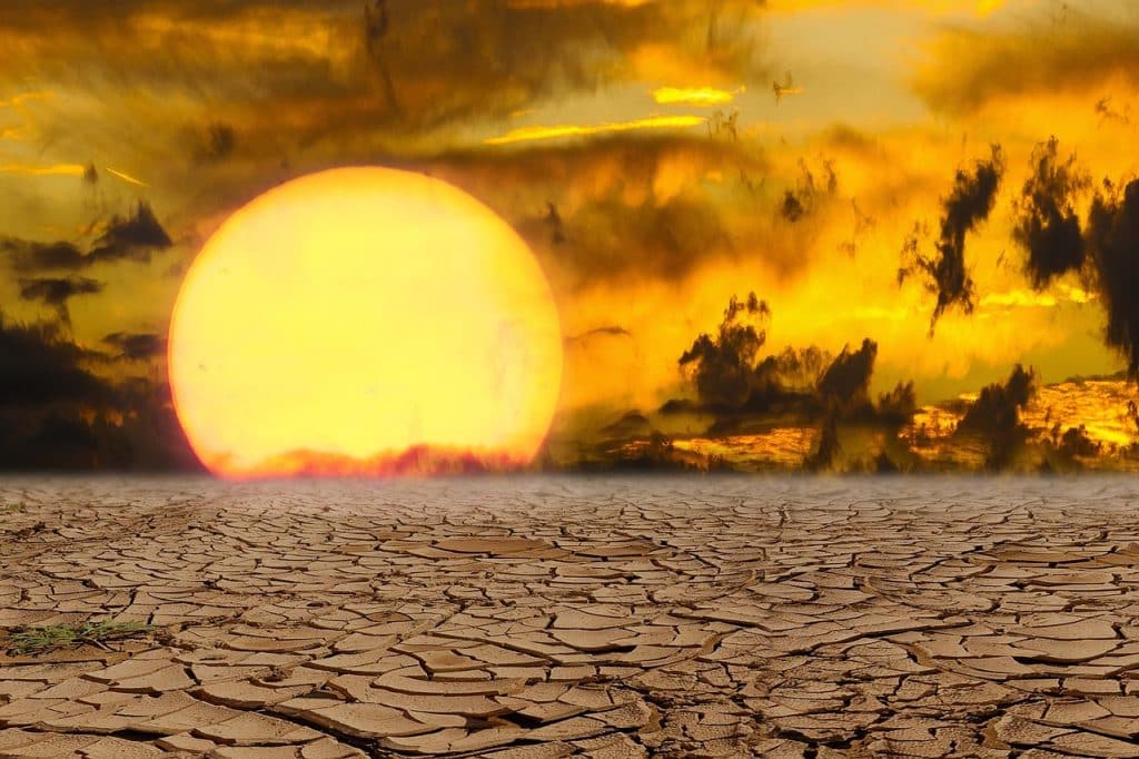 Changement climatique : le réchauffement va accentuer la vague de chaleur au Royaume-Uni
