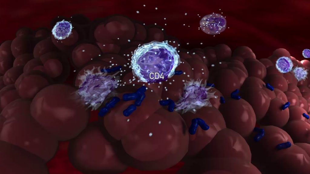 VIH : un vaccin sûr bientôt mis sur le marché