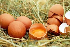 Il meurt en tentant de manger 50 œufs…