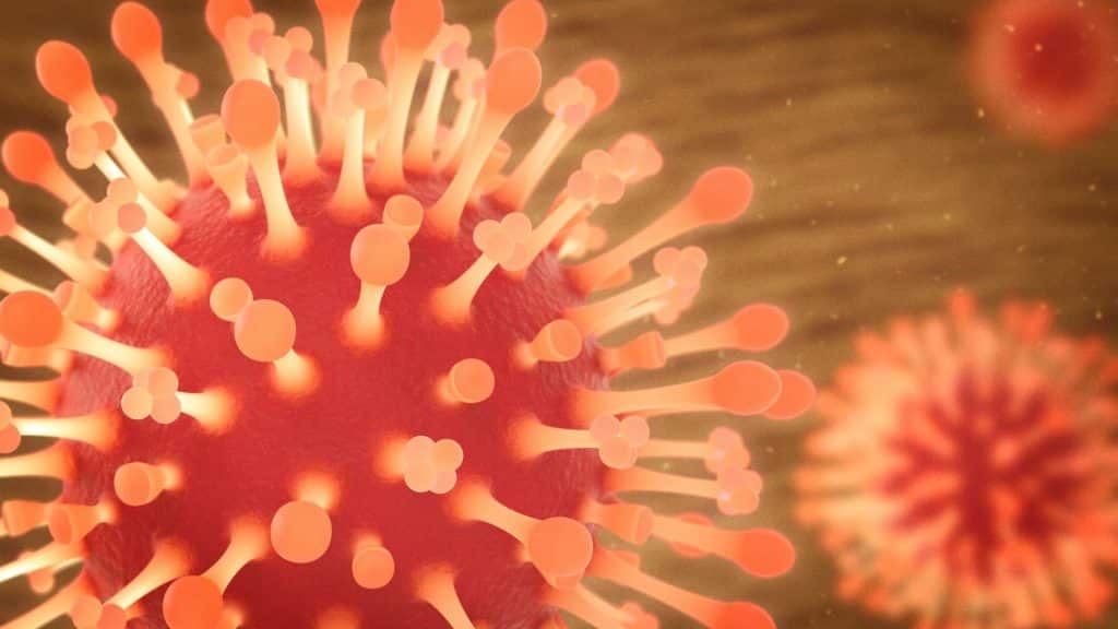 A 10 ans, elle décède d’une grippe foudroyante A 10 ans, elle décède d'une grippe foudroyante