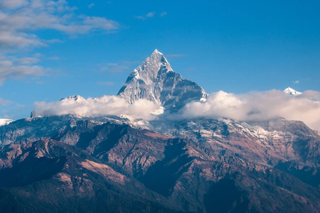 L’Himalaya gagne de la végétation, malgré sa haute altitude