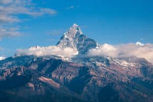 L’Himalaya gagne de la végétation, malgré sa haute altitude