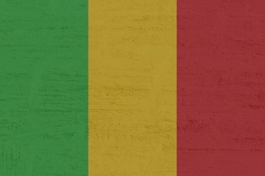 Mali : Aliou Boubacar Diallo prend ses distances avec IBK