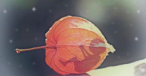 Avec 230.000 IVG en 2019, les Françaises sont championnes européennes de l’avortement