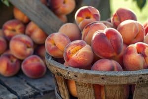 Ces pêches contenant trop de pesticides pourraient mettre votre santé en danger Attention : des pêches contenant trop de pesticides pourraient mettre votre santé en danger