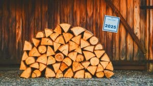 « Cette flambée inarrêtable » : le prix du stère de bois en 50 cm atteint des sommets inédits en avril 2025 et bouleverse le marché énergétique