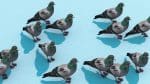 Mystérieux : Ce secret des bébés pigeons pourrait bouleverser ce que vous croyez savoir sur les oiseaux urbains